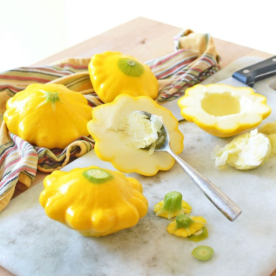 Yellow Bush Scallops 20 - 100 -700 Seeds Summer Squash Golden Custard Patty Pan