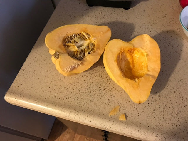 Thelma Sanders Acorn Winter Squash Heirloom 10 Seeds fresh Rare