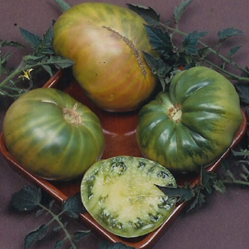 Aunt Ruby's German Green Tomato 30 - 2000 Seeds Rare Largest beefsteak  1+ LB!