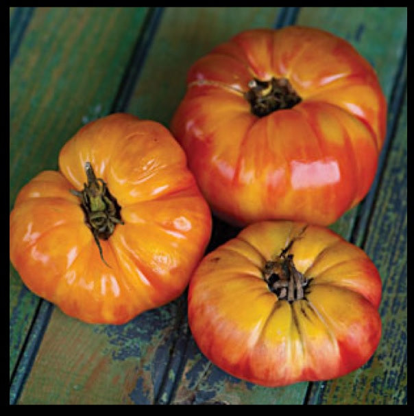 Big Rainbow Tomato 20,100, 200 seeds Heirloom big beefsteak meaty beautiful rare slicing