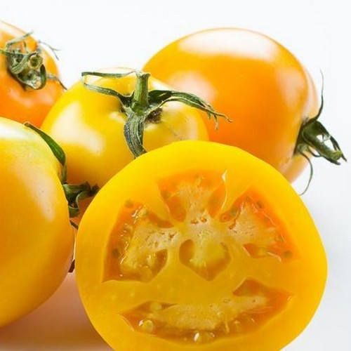Golden Jubilee Tomato 30 - 300 Seeds Low Acid! meaty interior great for Tomato Juice!