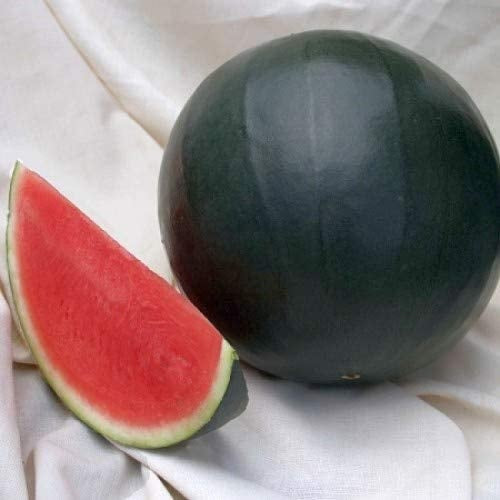 Black Diamond Watermelon 10 - 300 Seeds Tough rind! Large fruits! up to 125 lbs!
